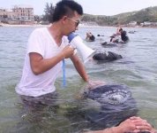 保鏢和保安有什么區別？